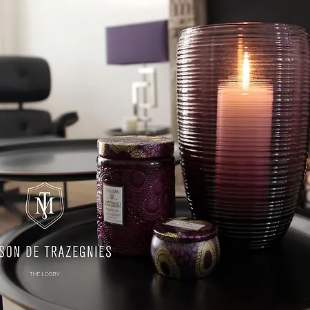 Maison De Trazegnies אנטוורפן